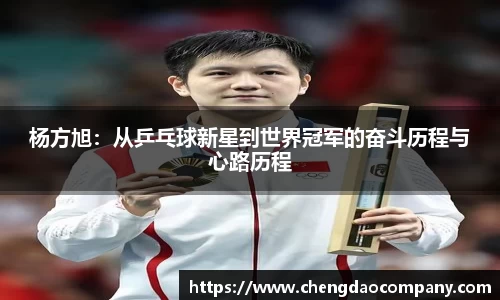 杨方旭：从乒乓球新星到世界冠军的奋斗历程与心路历程