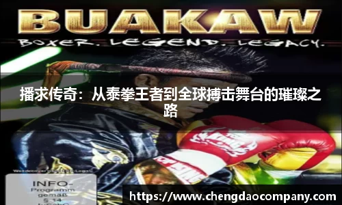 播求传奇：从泰拳王者到全球搏击舞台的璀璨之路
