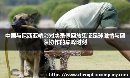 中国与尼西亚精彩对决录像回放见证足球激情与团队协作的巅峰时刻