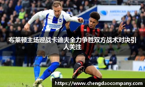 布莱顿主场迎战卡迪夫全力争胜双方战术对决引人关注
