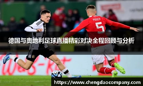 leyu乐鱼手机最新版本